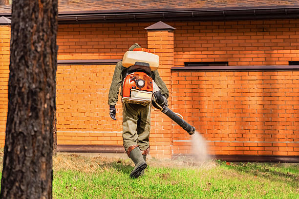 Trusted Cockroach Control service in Farmer City, IL - Nex Pest Control